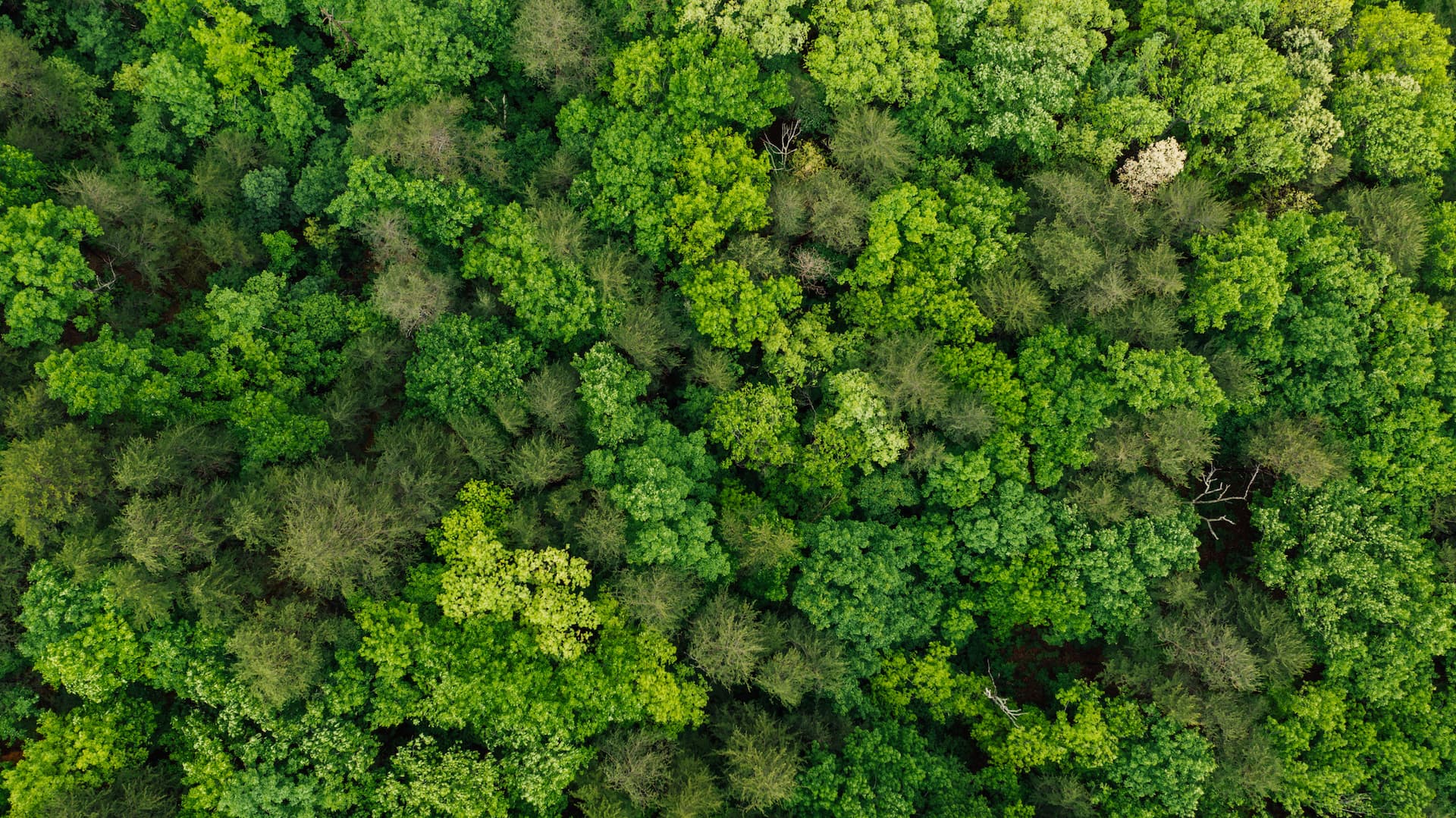 Węgierska Górka and Wisła Municipalities Receive Grant for Renewable Energy Sources!